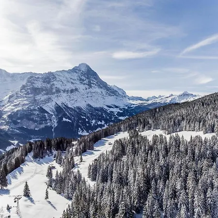 Lecocq - Griwa Rent Ag Chalet *