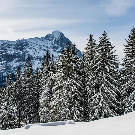 Lecocq - Griwa Rent Ag Chalet *